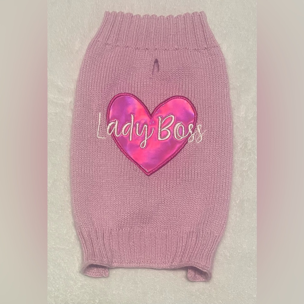 Pink extra small lady boss dog outfit XS